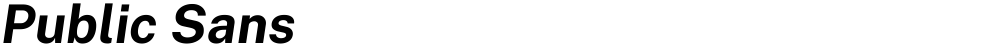Public Sans