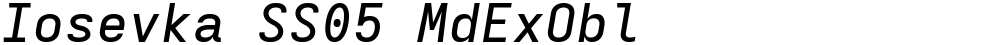 Iosevka SS05 MdExObl