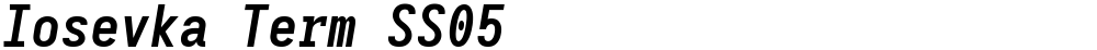 Iosevka Term SS05