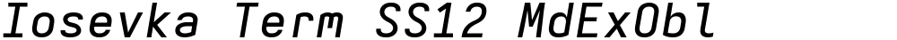 Iosevka Term SS12 MdExObl