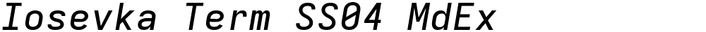Iosevka Term SS04 MdEx