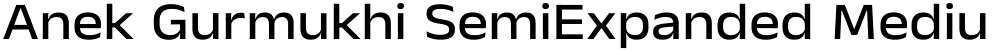 Anek Gurmukhi SemiExpanded Medium