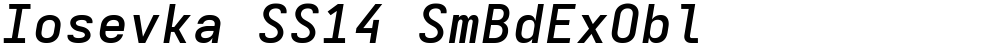 Iosevka SS14 SmBdExObl