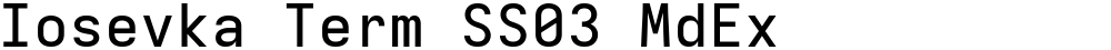 Iosevka Term SS03 MdEx