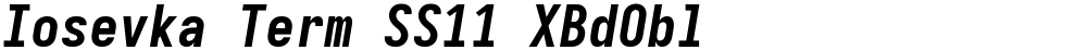 Iosevka Term SS11 XBdObl