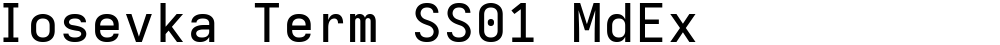 Iosevka Term SS01 MdEx
