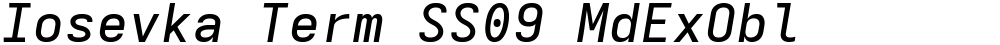 Iosevka Term SS09 MdExObl