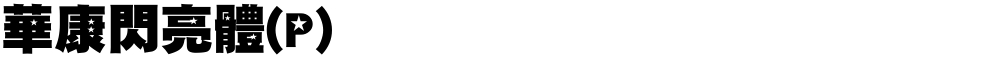 華康閃亮體(P)