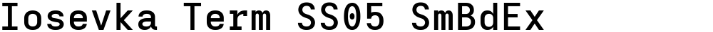 Iosevka Term SS05 SmBdEx