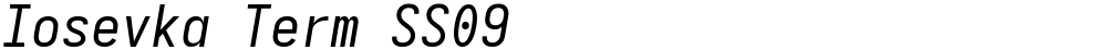 Iosevka Term SS09
