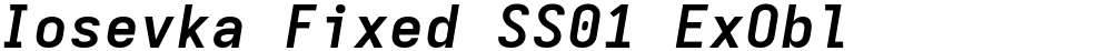 Iosevka Fixed SS01 ExObl
