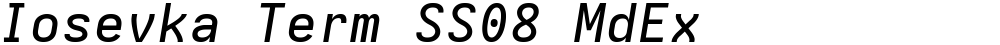 Iosevka Term SS08 MdEx