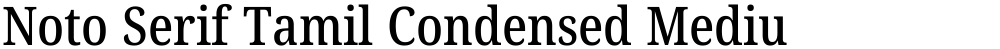 Noto Serif Tamil Condensed Medium