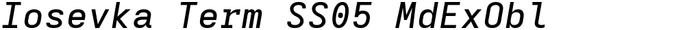 Iosevka Term SS05 MdExObl