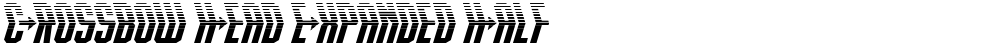 Crossbow Head Expanded Half