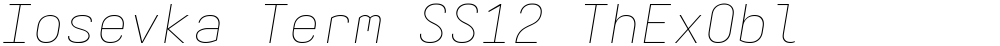 Iosevka Term SS12 ThExObl