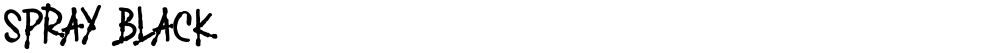 SPRAY BLACK