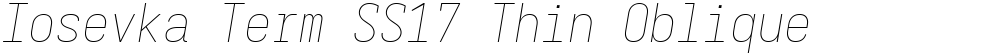 Iosevka Term SS17 Thin Oblique