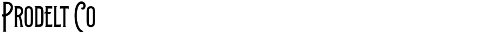 Prodelt Co