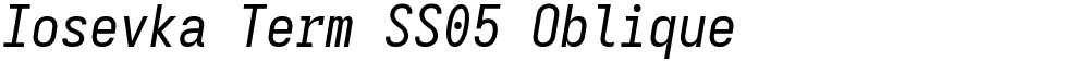 Iosevka Term SS05 Oblique