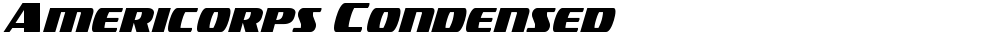 Americorps Condensed