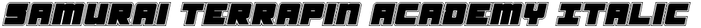 Samurai Terrapin Academy Italic