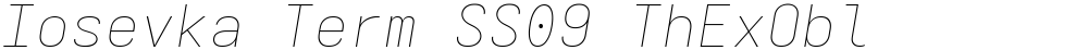 Iosevka Term SS09 ThExObl
