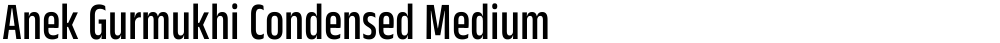 Anek Gurmukhi Condensed Medium