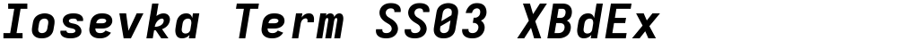 Iosevka Term SS03 XBdEx