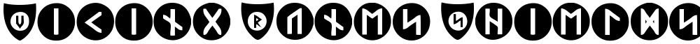 Viking Runes Shields