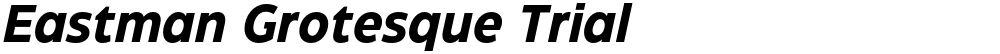 Eastman Grotesque Trial