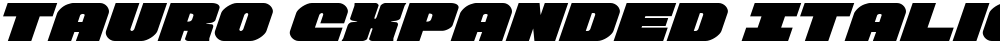 Tauro Expanded Italic