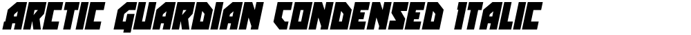 Arctic Guardian Condensed Italic