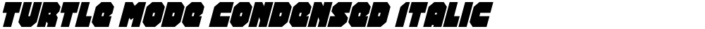 Turtle Mode Condensed Italic