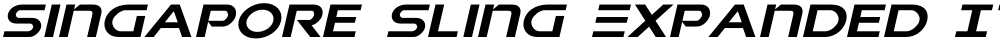 Singapore Sling Expanded Italic