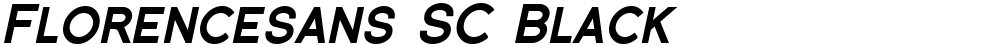 Florencesans SC Black