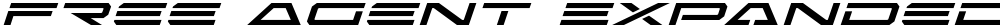 Free Agent Expanded Italic
