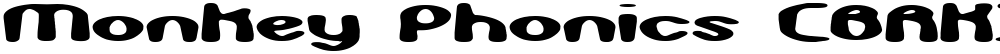 Monkey Phonics (BRK)