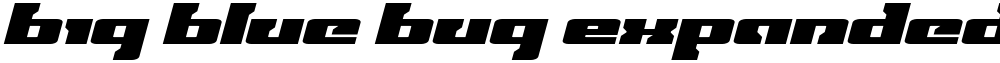 Big Blue Bug Expanded Italic