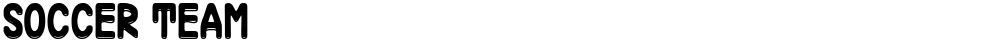 Soccer Team
