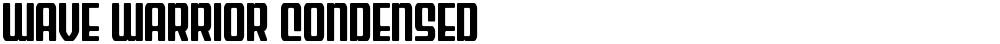 Wave Warrior Condensed