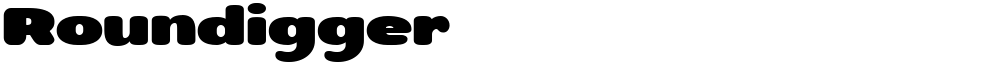 Roundigger