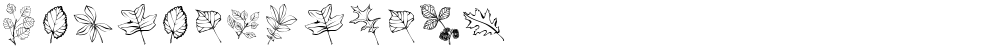 ArborisFolium