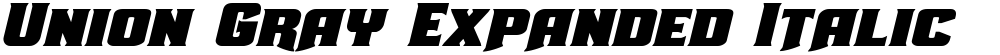 Union Gray Expanded Italic