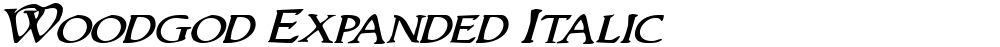 Woodgod Expanded Italic