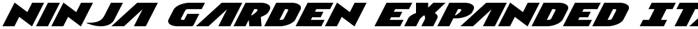 Ninja Garden Expanded Italic