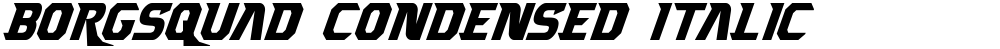 Borgsquad Condensed Italic