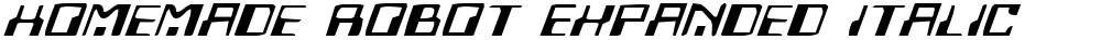 Homemade Robot Expanded Italic