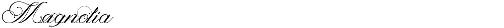 Magnolia 