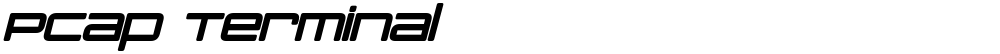 PCap Terminal
